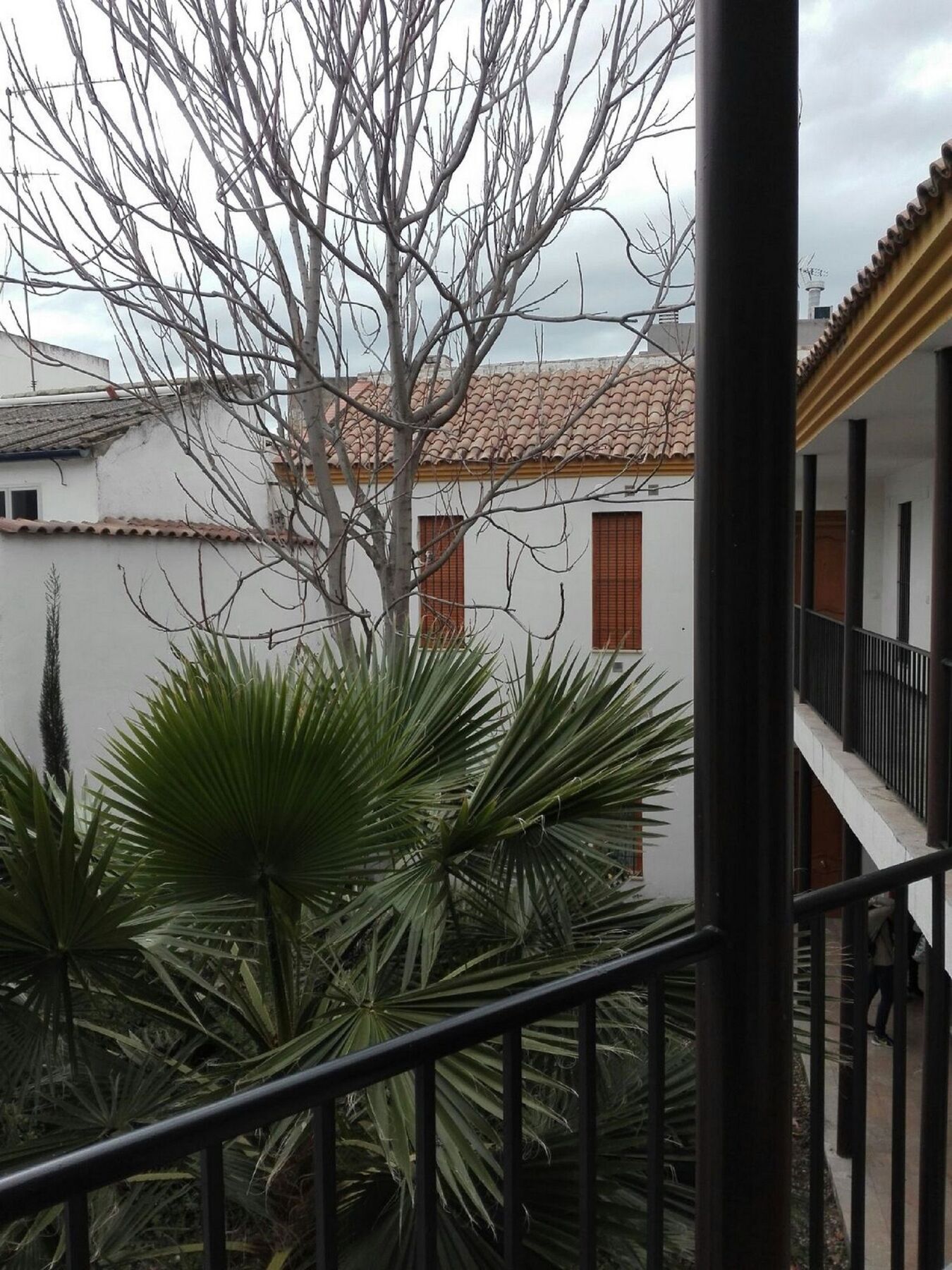 Apartamento Alfonso XII Cordoba Luaran gambar